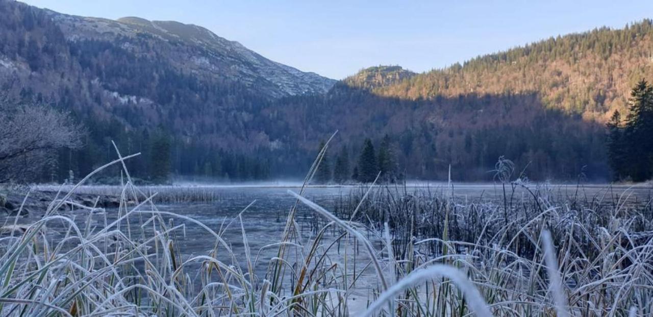 Ledererhof Lunz Am See Kültér fotó